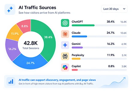 Who Uses AI Traffic?