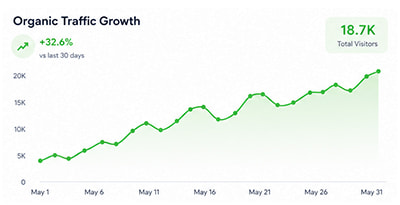 +600 Organic Users to 5 Different Pages