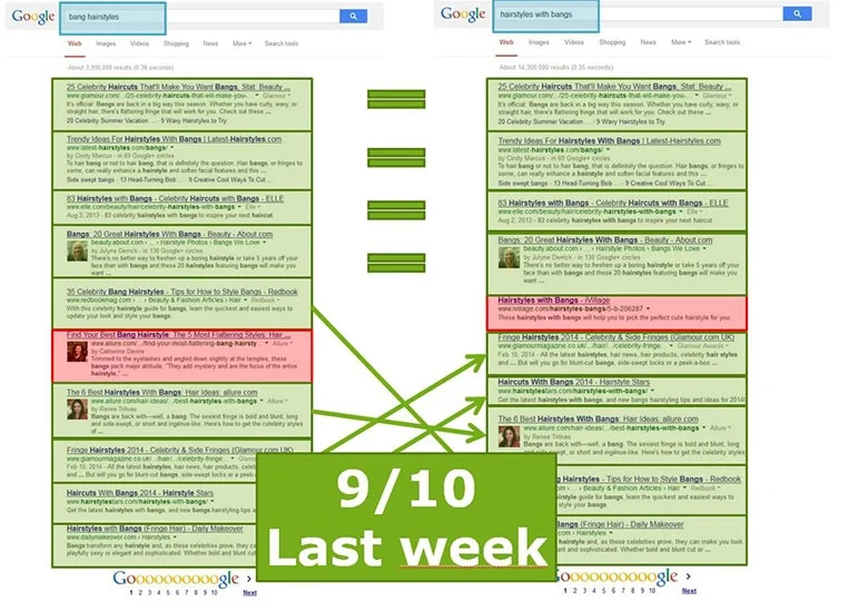 Hummingbird Algorithm and Voice Search