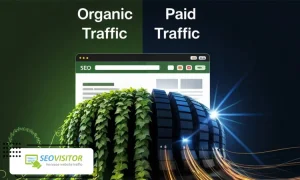 Buy USA Web Traffic and Grow Your Online Business Fast with Seovisitor