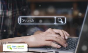 What is the Type of People's Search in America?